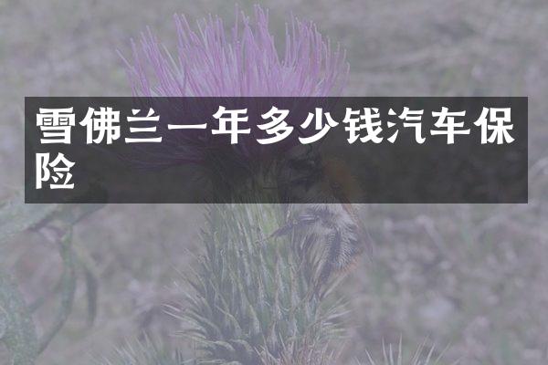 雪佛兰一年多少钱汽车保险