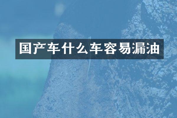 国产车什么车容易漏油