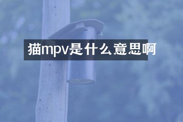 猫mpv是什么意思啊