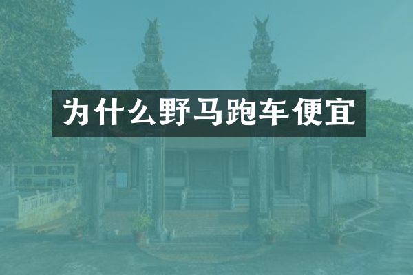 为什么野马跑车便宜