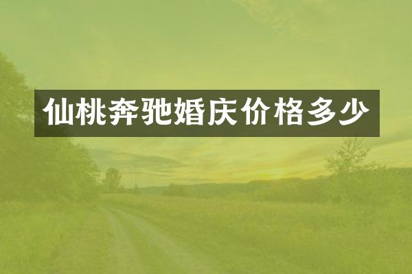 仙桃奔驰婚庆价格多少