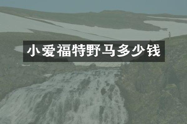 小爱福特野马多少钱