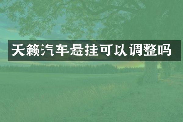 天籁汽车悬挂可以调整吗