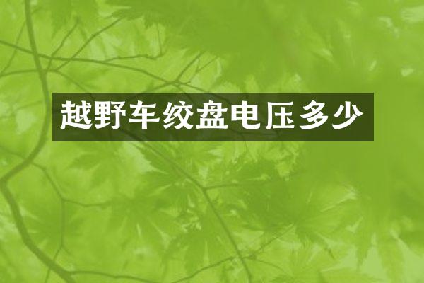 越野车绞盘电压多少