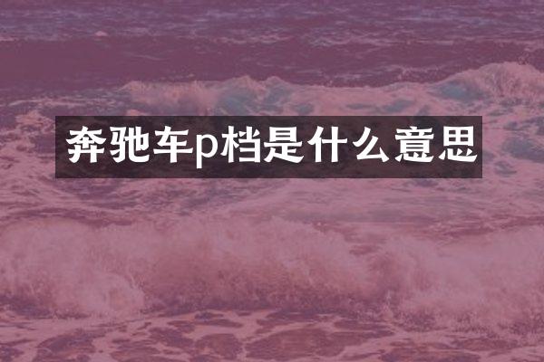 奔驰车p档是什么意思