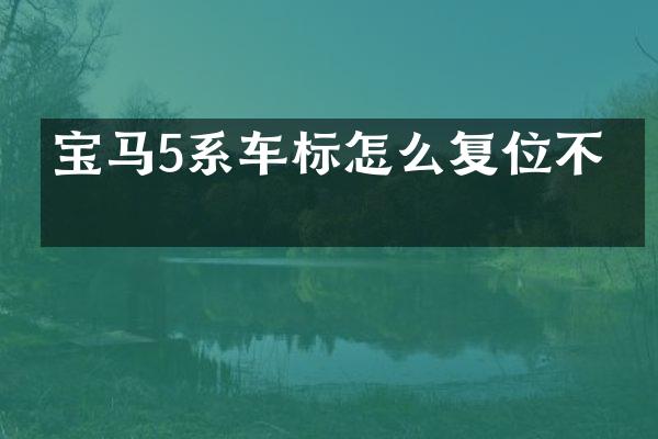 宝马5系车标怎么复位不了