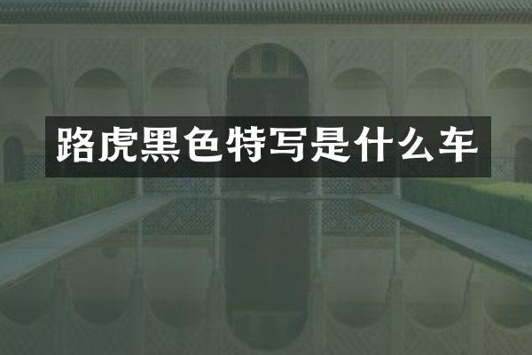 路虎黑色特写是什么车