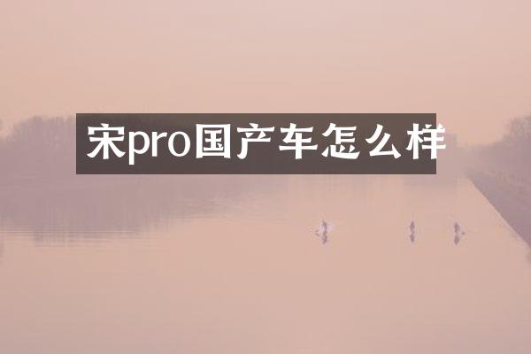 宋pro国产车怎么样