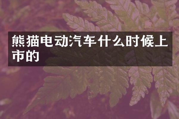 熊猫电动汽车什么时候上市的