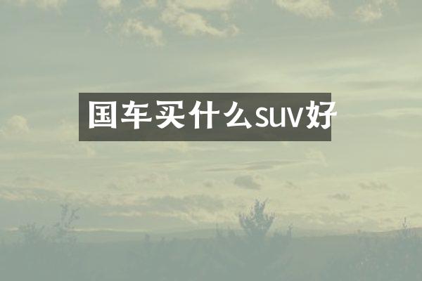 国车买什么suv好