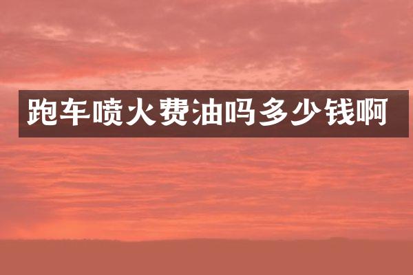 跑车喷火费油吗多少钱啊