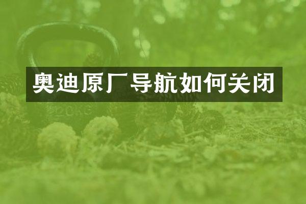 奥迪原厂导航如何关闭