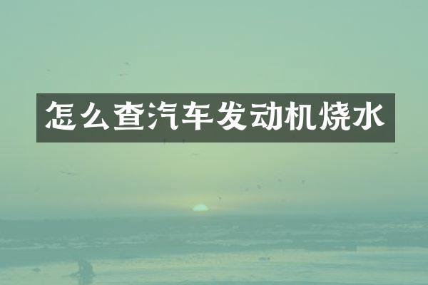怎么查汽车发动机烧水