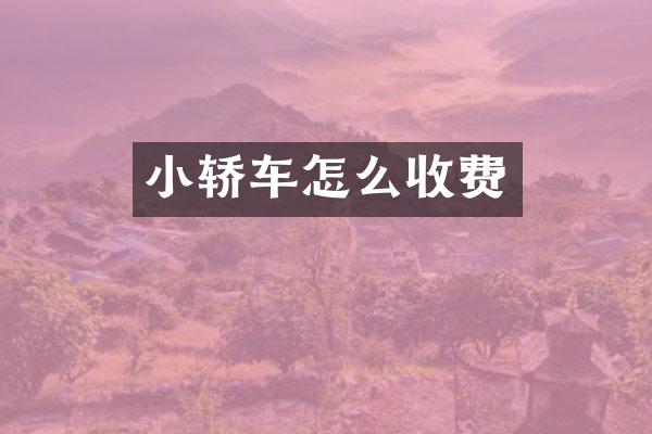 小轿车怎么收费