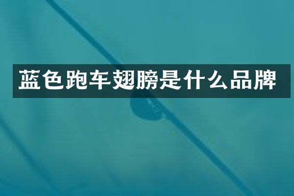 蓝色跑车翅膀是什么品牌