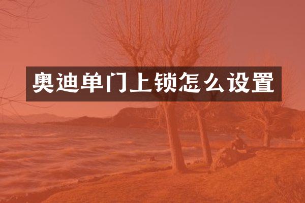 奥迪单门上锁怎么设置