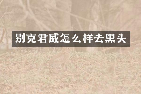别克君威怎么样去黑头
