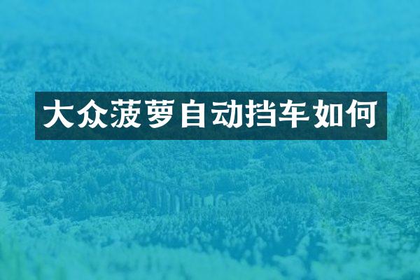 大众菠萝自动挡车如何
