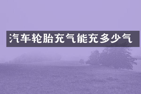 汽车轮胎充气能充多少气