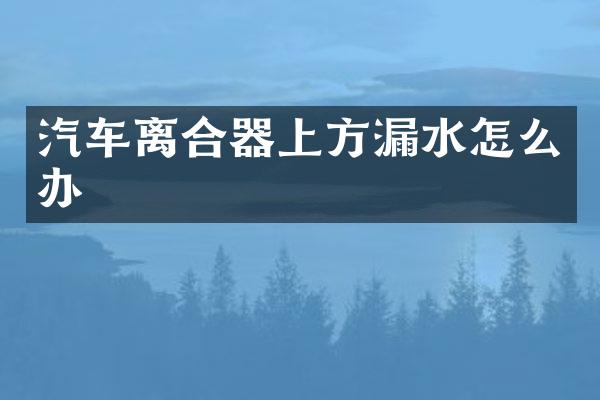 汽车离合器上方漏水怎么办