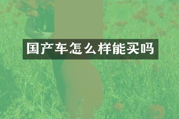 国产车怎么样能买吗