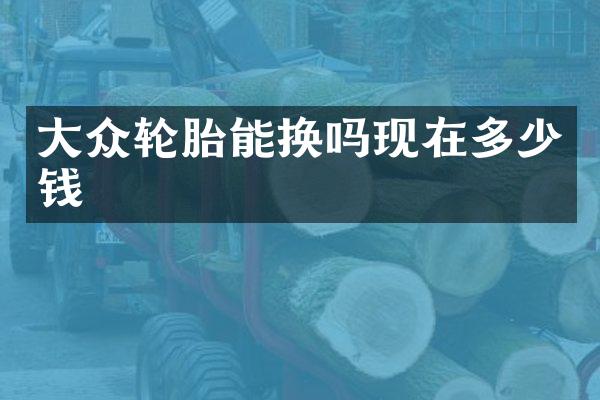 大众轮胎能换吗现在多少钱