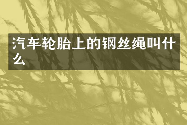 汽车轮胎上的钢丝绳叫什么