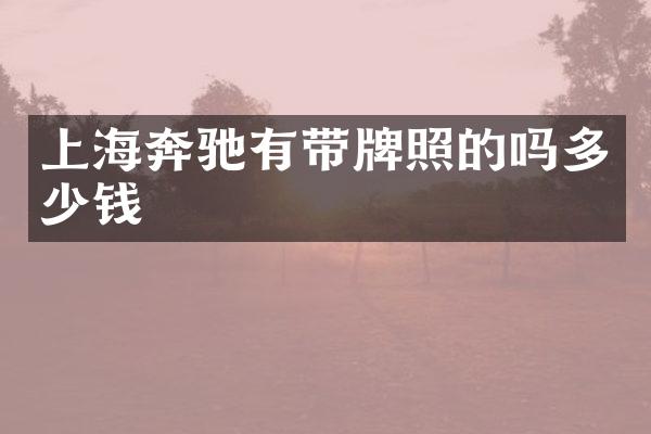 上海奔驰有带牌照的吗多少钱