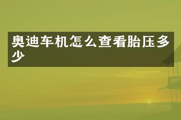 奥迪车机怎么查看胎压多少