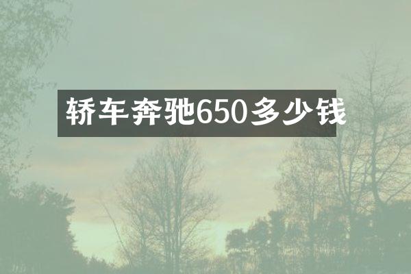 轿车奔驰650多少钱