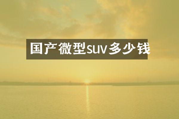 国产微型suv多少钱