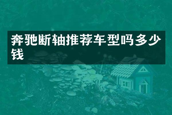 奔驰断轴推荐车型吗多少钱