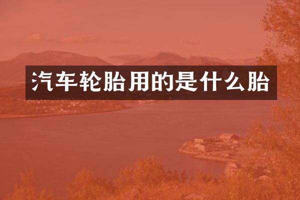 汽车轮胎用的是什么胎