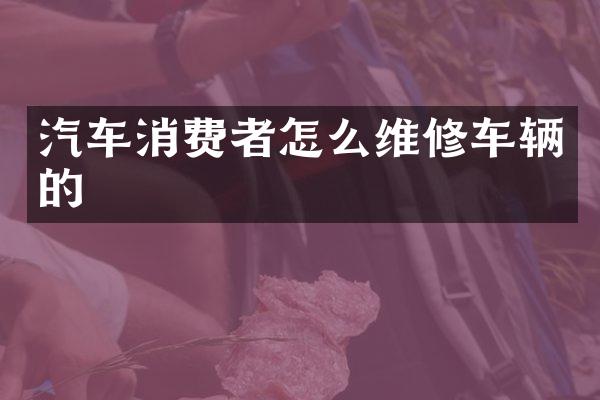 汽车消费者怎么维修车辆的
