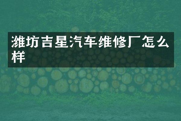 潍坊吉星汽车维修厂怎么样