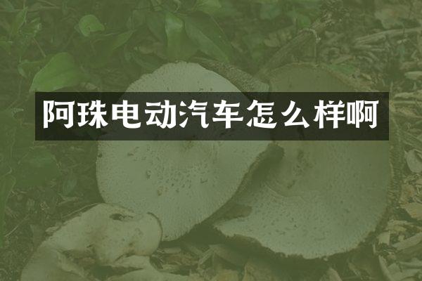 阿珠电动汽车怎么样啊