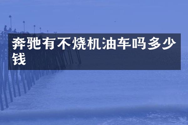 奔驰有不烧机油车吗多少钱