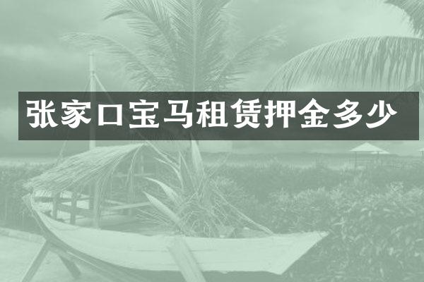张家口宝马租赁押金多少