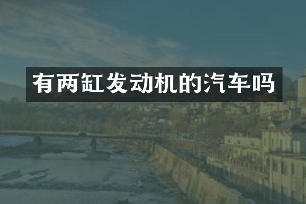 有两缸发动机的汽车吗