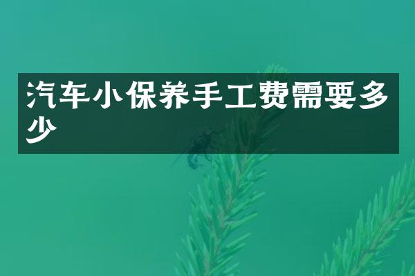 汽车小保养手工费需要多少