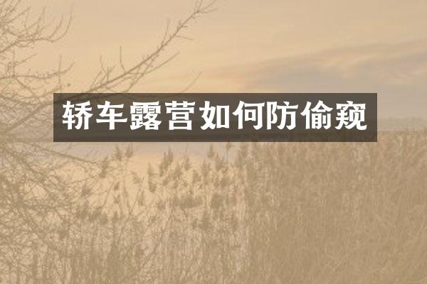 轿车露营如何防偷窥