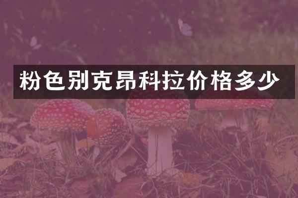 粉色别克昂科拉价格多少