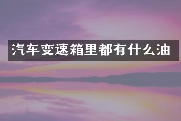 汽车变速箱里都有什么油