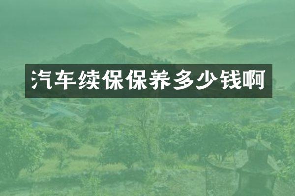 汽车续保保养多少钱啊