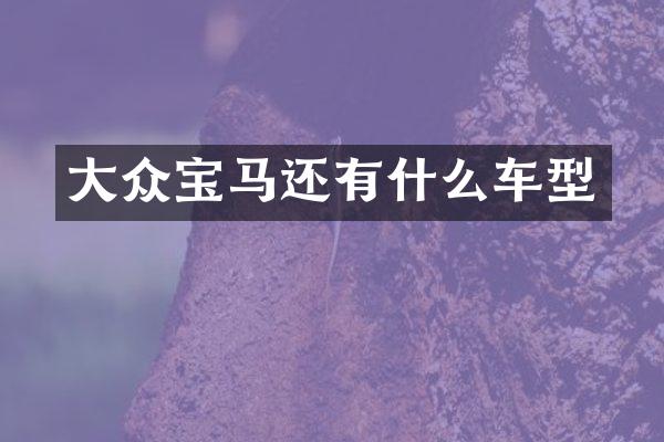 大众宝马还有什么车型