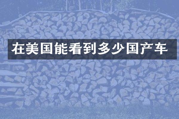 在美国能看到多少国产车
