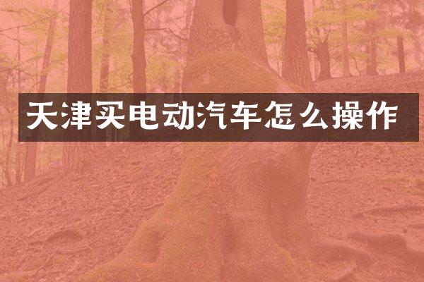 天津买电动汽车怎么操作