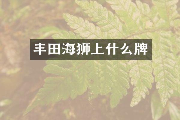 丰田海狮上什么牌