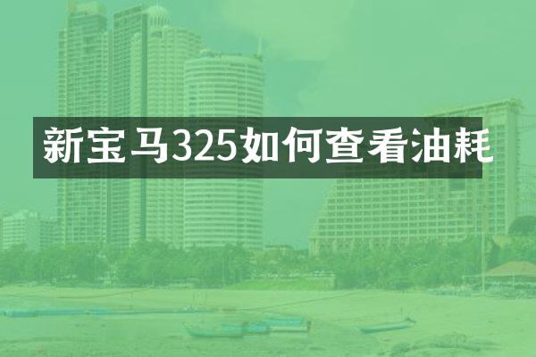 新宝马325如何查看油耗