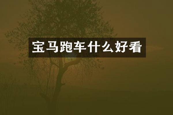 宝马跑车什么好看